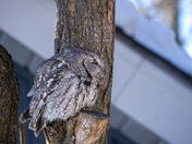 Can you get my good side?