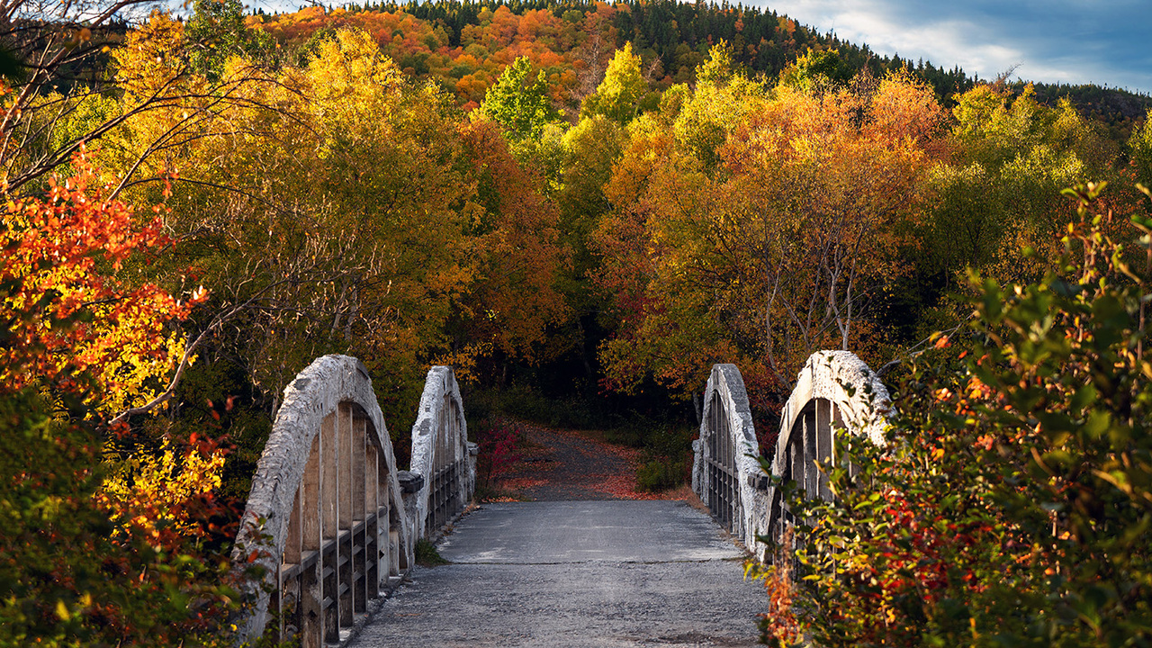 Down the Beaten Path