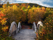 Down the Beaten Path