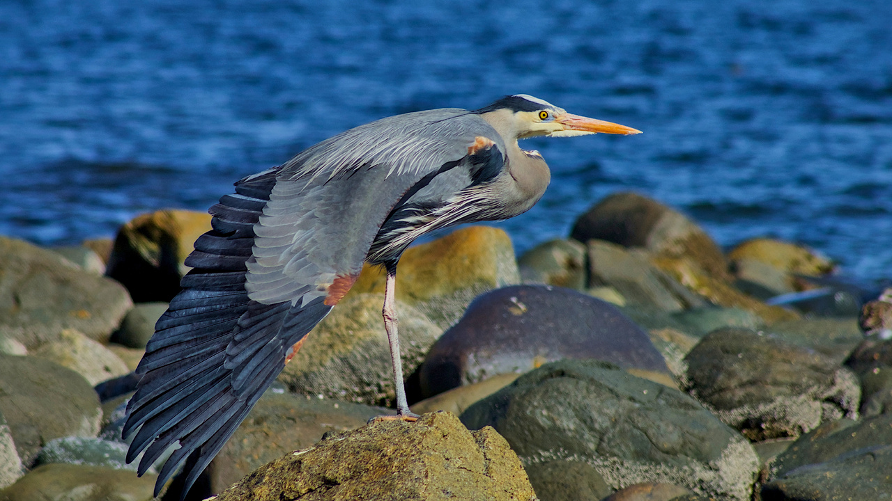 Stretch Before Flight