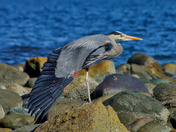 Stretch Before Flight