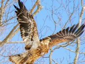 Take a Leap of faith