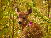 Are you Looking At Me?