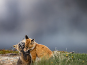 Close But Not Too Close