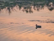 serenity in solitude