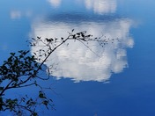 reflection of one big clour