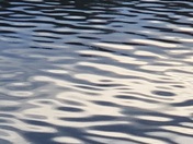 Soft Grey water reflection