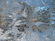 Frost on window