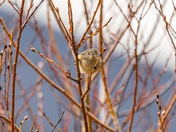 Here's Looking At You