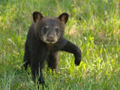 One foot in front of the other