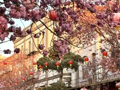Victoria’s Chinatown