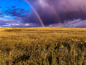 Chasing the Edge of Rain