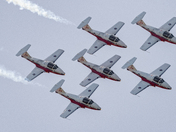 Snowbirds 