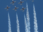 Canadian Snowbirds