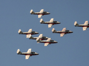 Canadian Snowbirds