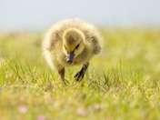 Spring is in the air