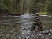 A Vancouver Island Stream