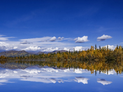 A Yukon Reflection 