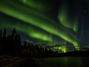 Lady Aurora