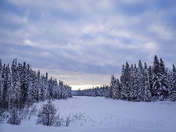 Waskesiu River 