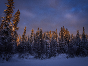 Golden Hour at Waskesiu 