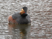 Here's looking at you