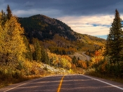 Road Through A Kananaskis Fall Forest At Sunrise