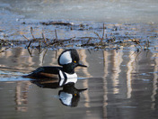 Mornings are a quiet time for reflection....