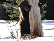 Just checking the power 