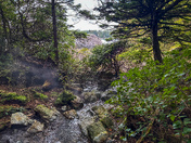 Hot Springs Cove