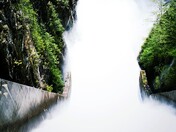 Cleveland Dam in Capilano