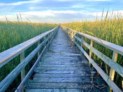 Marsh Boardwalk, Hecla