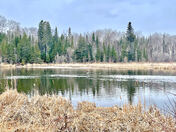 Wetlands at Jack Pine Bay, Pine Dock