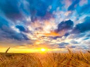 Golden sunset