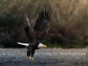 On The Move