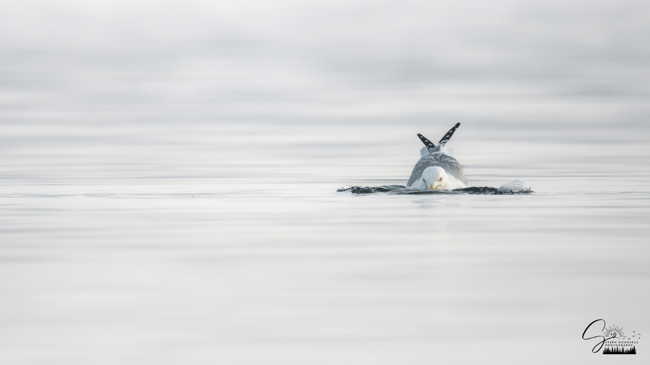 Between the Ripples