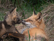 Happy Mother's Day!