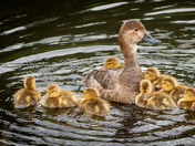 Happy Mother's Day!