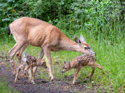 Happy Mother's Day!