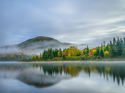 Mystic Autumn 