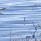 Next upload