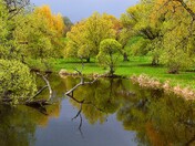 Dominion Arboretum