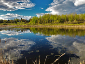 Spring in Ottawa