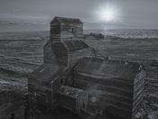 Where the Harvest Once Gathered