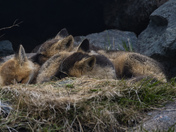 Quiet Time
