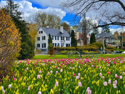 Ottawa's Tulip Festival 