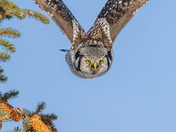 Take off!