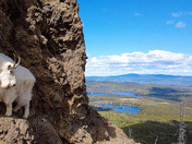 Overlook 
