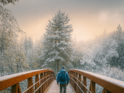 Frozen