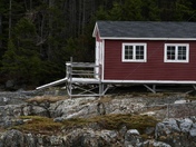Life on the rock